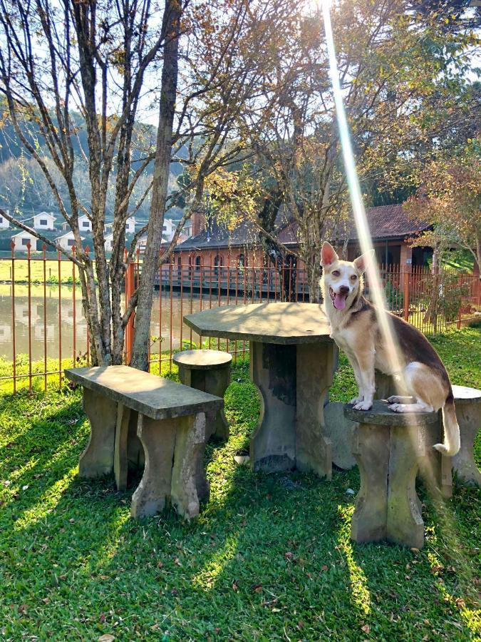 Pousada Parque Das Pitangueiras Flores da Cunha Luaran gambar