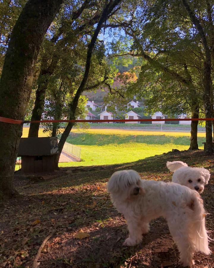 Pousada Parque Das Pitangueiras Flores da Cunha Luaran gambar