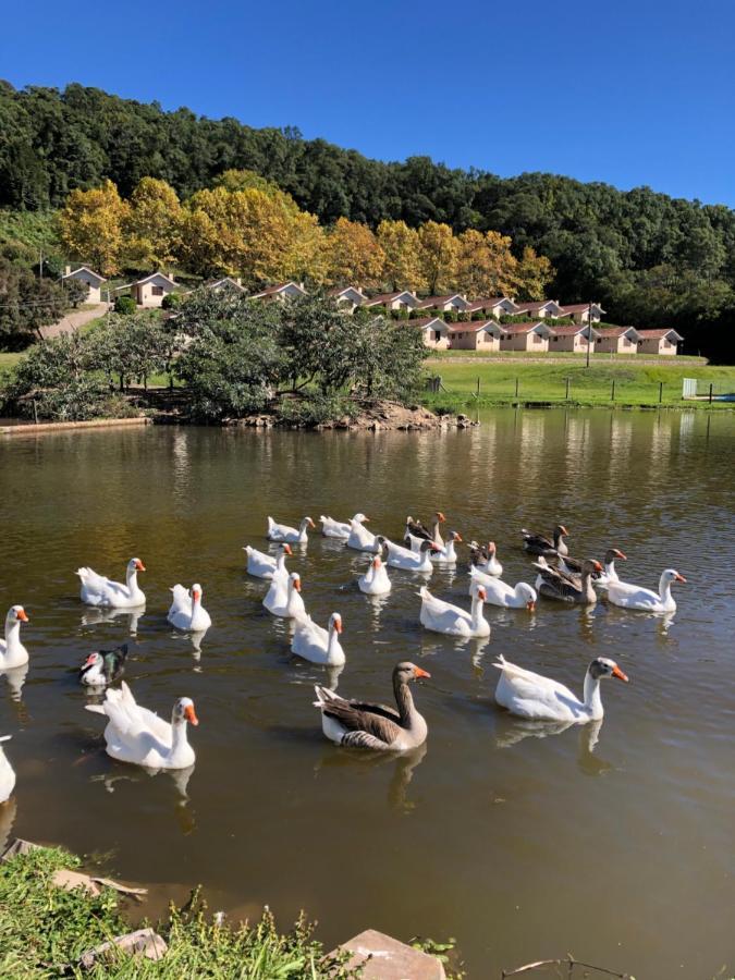 Pousada Parque Das Pitangueiras Flores da Cunha Luaran gambar
