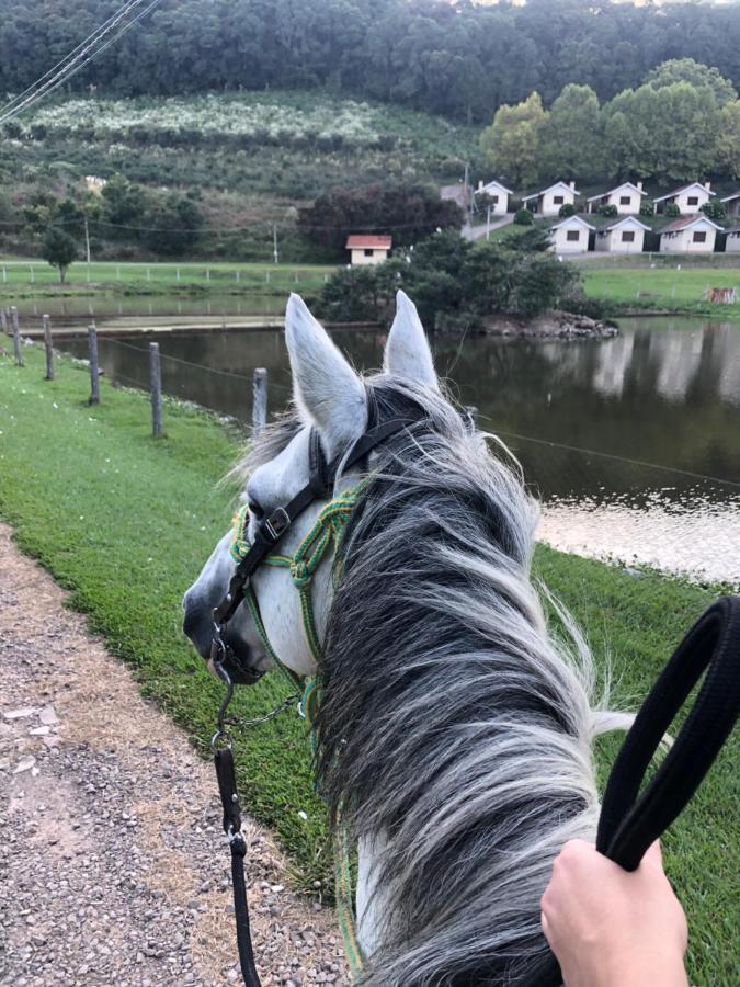 Pousada Parque Das Pitangueiras Flores da Cunha Luaran gambar